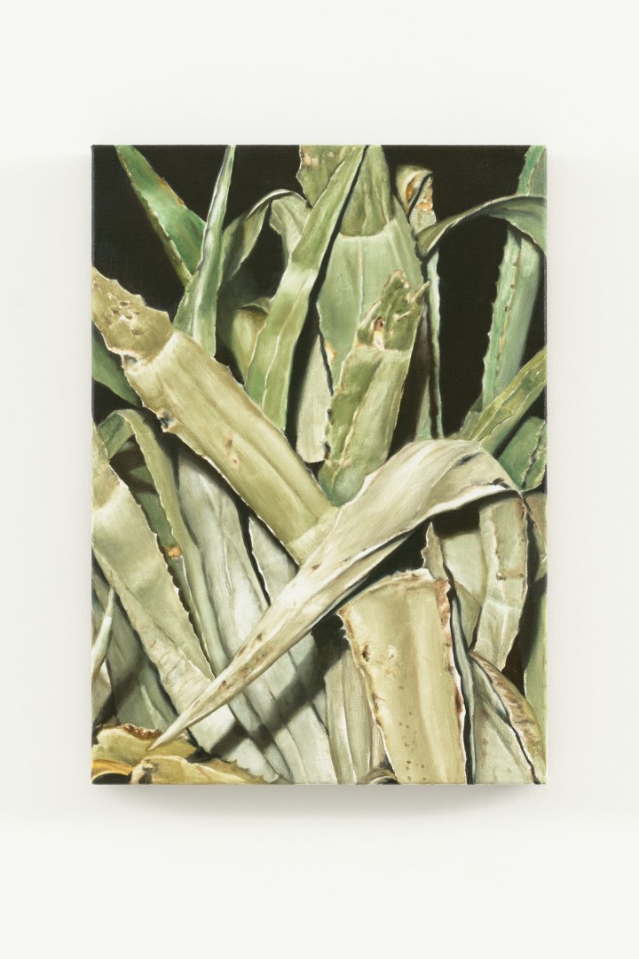Gold 2 (2026), 45 x 32 cm, oil on linen